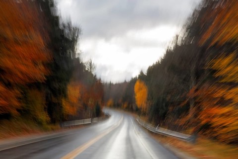 Winding, wet country road through forest, autumn leaves, Indian summer, dark rain clouds, smudging