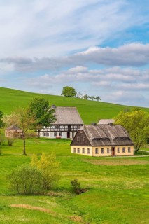 Historic houses with half-timbered timber and shingles under trees in the Seiffen open-air museum,