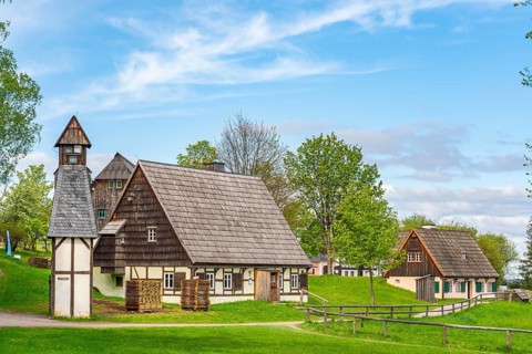 Historic houses with half-timbered timber and shingles under trees in the Seiffen open-air museum,