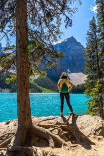 Female tourist standing by a pine tree, admiring the turquoise waters of moraine lake and the