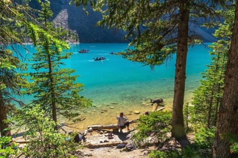 Tourists canoeing on the turquoise waters of moraine lake, surrounded by rocky mountains and lush