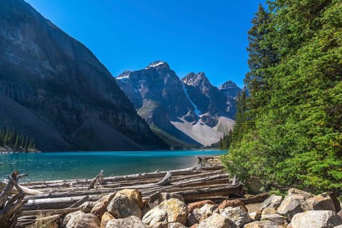 Driftwood logs and rocks resting on the shore of moraine lake, featuring stunning turquoise water