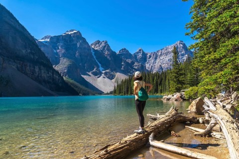 Female tourist standing on a log admiring the turquoise waters of moraine lake with the valley of