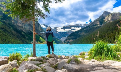 Female tourist standing by a tree on the rocky shore of turquoise lake louise, admiring the