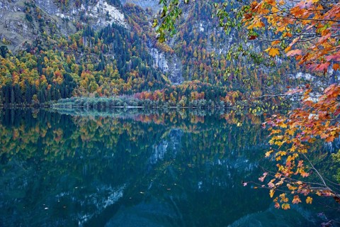 Autumn-colored forest is reflected in Lake Klöntal, Canton of Glarus, Switzerland