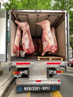Mercedes refrigerated van with beef halves, half beef, beef, delivering in the city of Buenos
