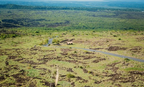 Landscape of a rural road surrounded by vegetation. View of an asphalt road in a green and natural