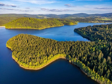 Aerial view, drone photo: spruce forest and beech trees at the Eibenstock drinking water reservoir,