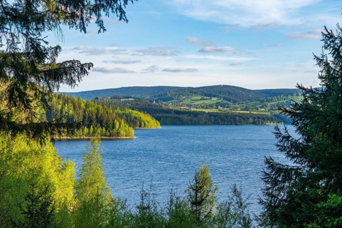 View through the spruce forest of the Eibenstock drinking water dam, Ore Mountains, Saxony, Germany