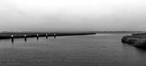 Lagoon landscape at the Meinigenbrücke near Zingst, black and white photo, panorama,