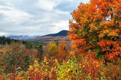 Scenic View, Panoramic View, Fall Leaves, Indian Summer, Fall Weather, Sugar Hill Observation Deck,