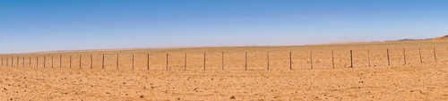Fence, farm, desert, wildlife fence, Kalahari, Namibia