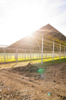 Underside of a solar panel with intense sunlight over a field, Energiewende, construction of PV