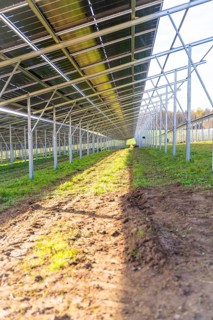 Sunlight floods the ground under solar modules, Energiewende, construction of PV open space,