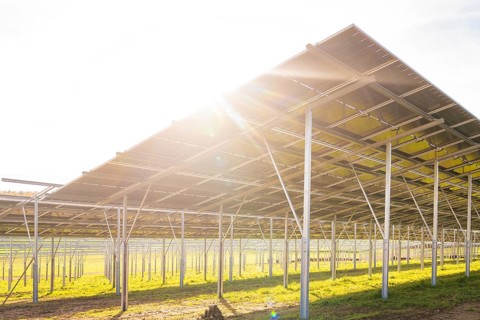 Side view of solar panel structure in strong sunshine on green field, Energiewende, construction of