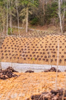 Slope protected from a wooded landscape with a protective net and plants, construction of the