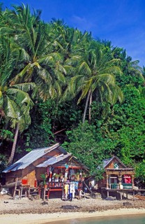Bamboo huts under palm trees on Ko Phi Phi Don beach, two years in front of the tsunami, Thailand,