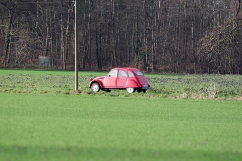 Citroën 2CV, car, duck, red, classic car, rural, Germany, A single Citroën drives on a country road