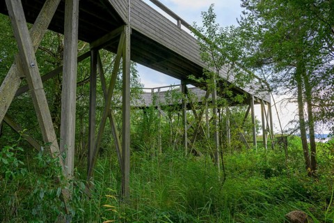 Long wooden bridge leads through lush greenery and trees to an observation tower at Lake Tåkern
