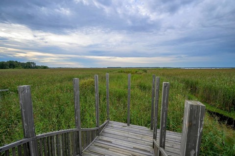 Wooden viewing platform with a view of extensive reeds under cloudy sky, Tåkern, Vadstena,