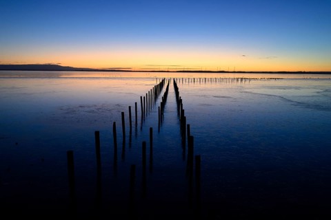 Wooden posts, boat dock posts run into water at sunset, quiet atmosphere, Dümmer See, Lembruch,