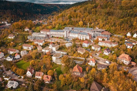 Town in autumn landscape with buildings and trees surrounded by hills and cloudy sky, Altes