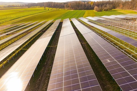 Consistent rows of solar panels on green land for energy generation, energy transition,