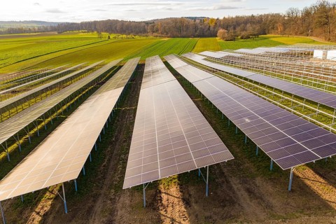 Rows of solar panels in a rural field, energy transition, construction of PV open space,