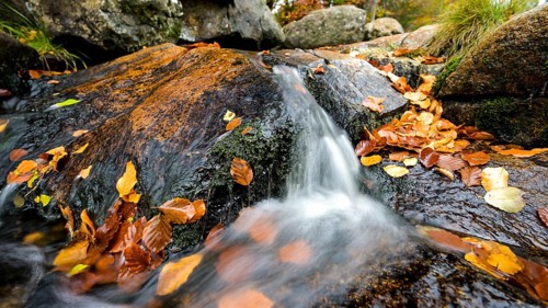 River Bode flows over smooth-cut rocks with autumn colors, autumn colors in the Bodetal nature