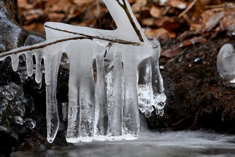 Close-up of icicles. Cool, frosty atmosphere reflecting the winter cold, Zwickenbach,