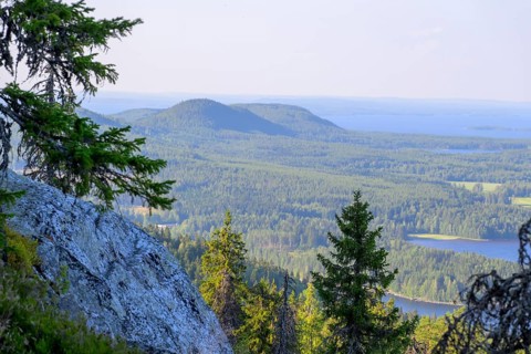 View of lakes and forests from a hill with rocks and trees, Koliberg, Finland's most famous