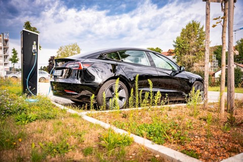 Black car at a charging station in a sunny, urban area, Deer e-Carsharing, Tesla Model 3, Calw,
