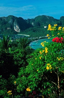 View of the island from the viewpoint one year in front of the tsunami, Ko Phi Phi Don, Thailand,