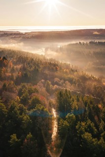 Sunrise over wooded hills with fog and colorful autumn leaves, Gechingen, Calw district, Germany
