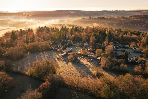 Foggy autumn landscape with village surrounded by trees and fields at sunrise, Gechingen, Calw