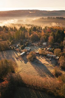 Village and surrounding fields in morning fog surrounded by trees at sunrise, Gechingen, Calw