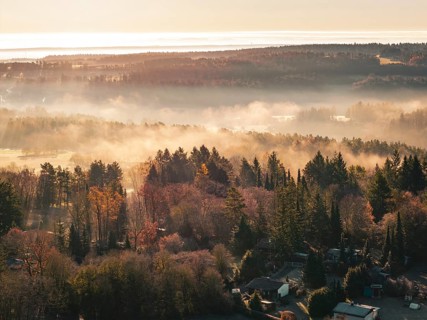 View of fog-shrouded hills and dense forests at rising sun, Gechingen, Calw district, Germany