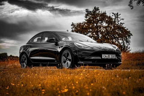 Black car parked on country road, dramatic clouds in the sky surrounded by meadows, Deer