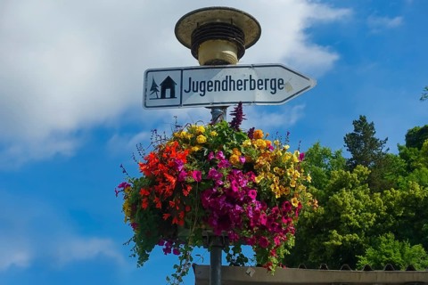 Flower decoration on street lamp, colorful blossoms, light, signpost, youth hostel, lettering,