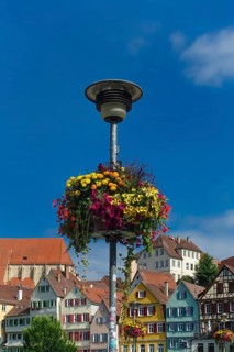 Flower decoration on street lamp, colorful blossoms, light, on the Neckar, historic old town