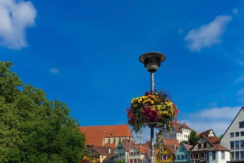 Flower decoration on street lamp, colorful blossoms, light, on the Neckar, historic old town