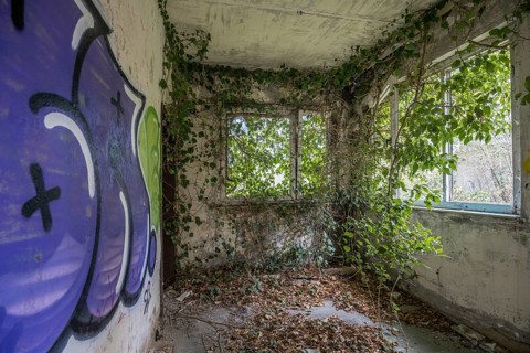 Room with gravity and overgrown with plants, dilapidated plant of a former agricultural production