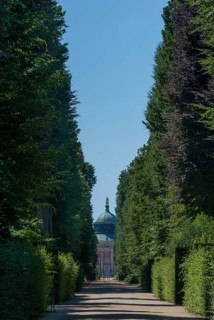 Avenue in Sanssouci Palace Park, Potsdam
