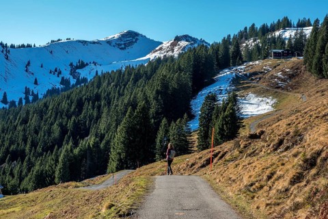 Female hiker on high-altitude hiking trail from Bolsterlanger Horn to Riedberger Horn, back