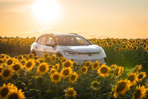 A white car is parked in the middle of a sunflower field at sunset, VW ID4 electric car, Deer