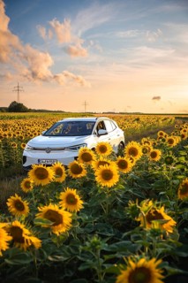 White car in a wide sunflower field at sunset, surrounded by nature and rural peace, VW ID4
