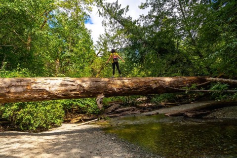 Female hiker balancing on a large fallen tree trunk spanning a shallow river in a lush green