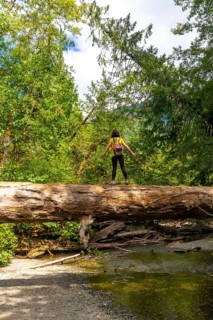 Female hiker with backpack standing on large fallen log spanning creek in lush green cathedral