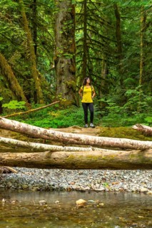 Female hiker standing on fallen log, admiring towering trees and lush greenery in the tranquil