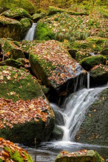 An Ilse waterfall pours over mossy rocks covered with autumn leaves, Ilse Valley, Harz National